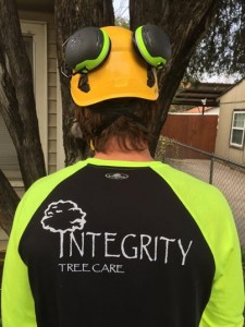 integrity tree care
